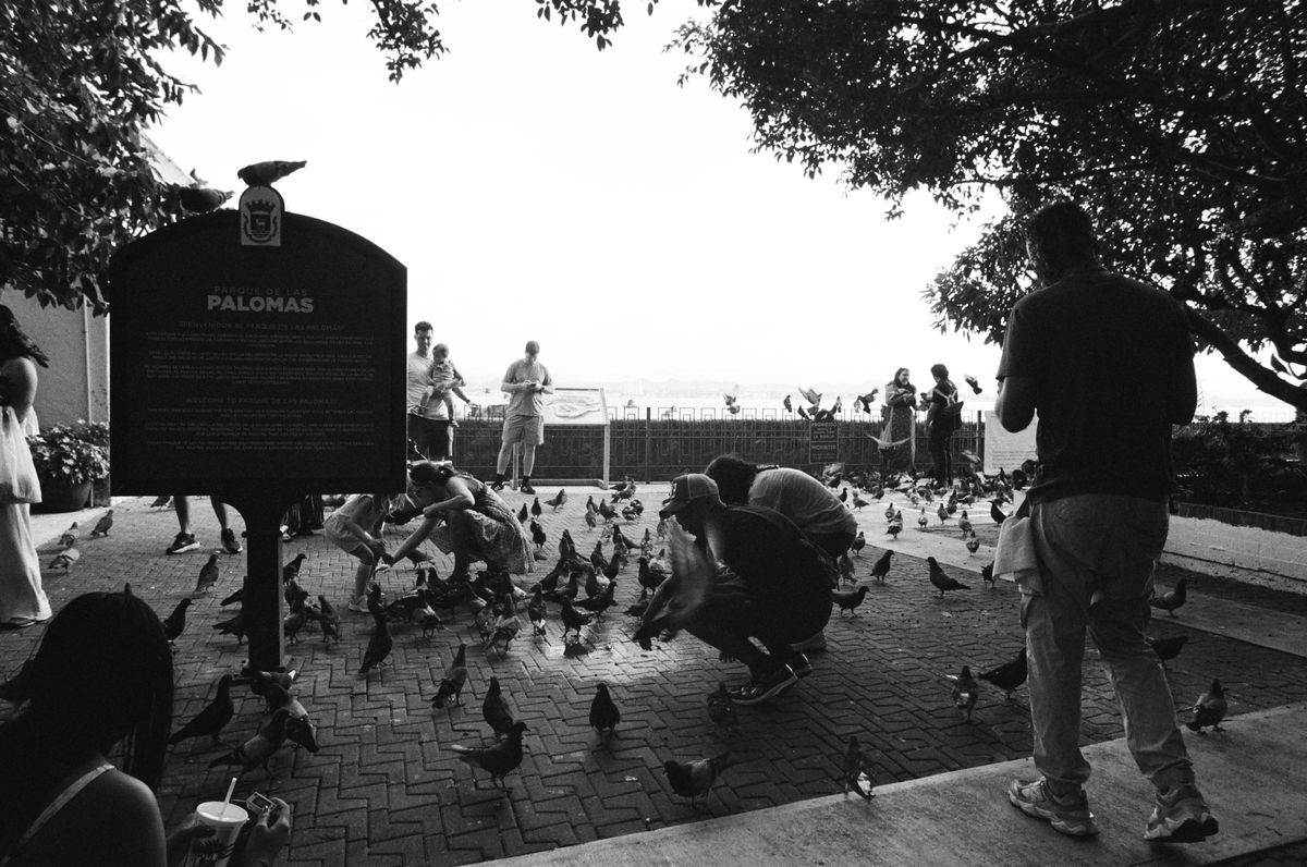Analog photography by Gabriel Crespo — 5