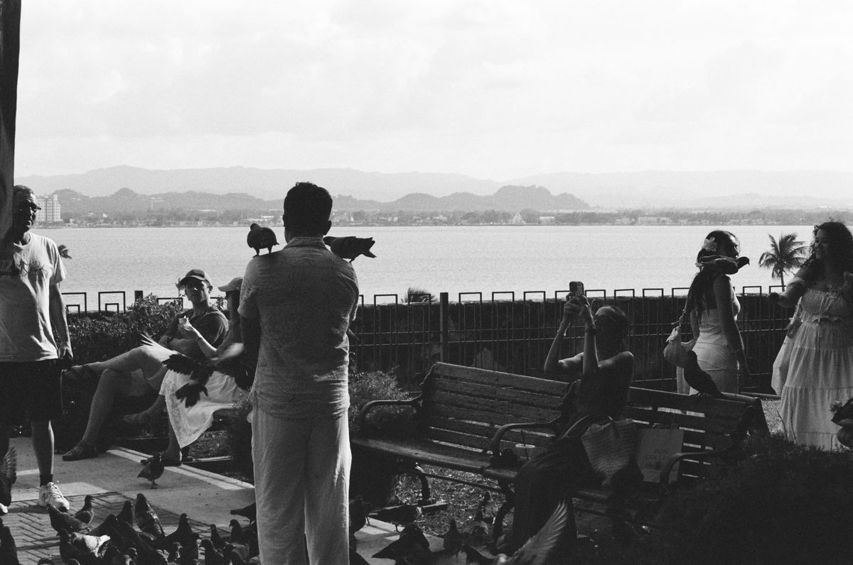 Analog photography by Gabriel Crespo — 6