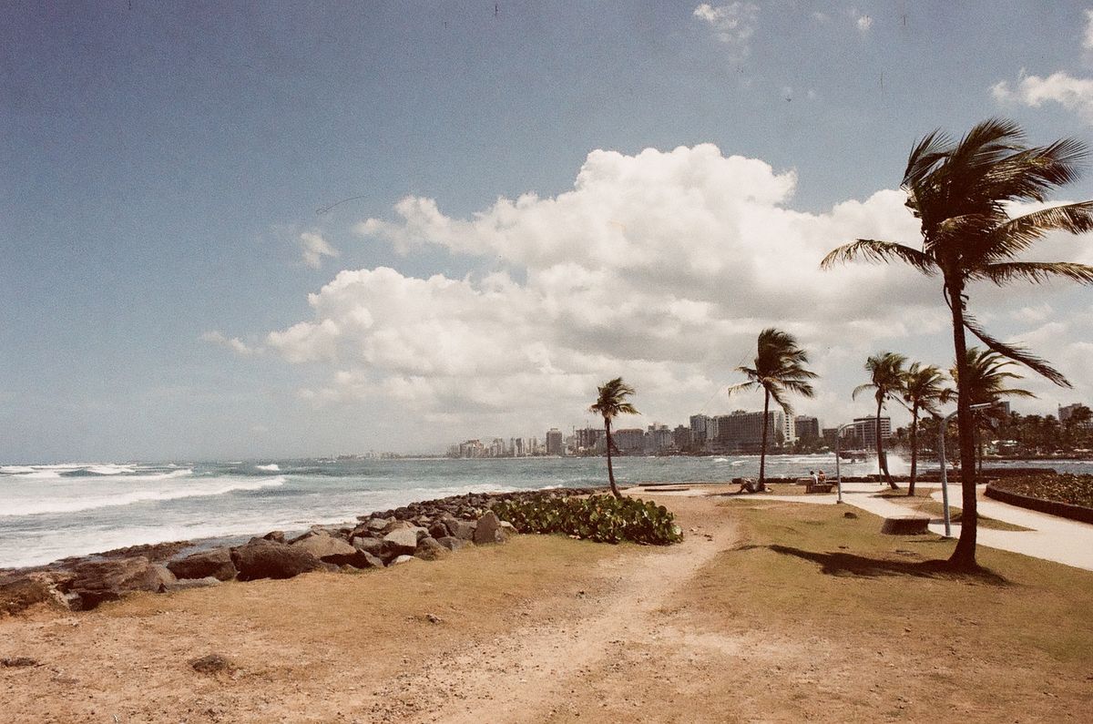 Analog photography by Gabriel Crespo — 12